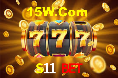 S11 Bet - Installation Guide