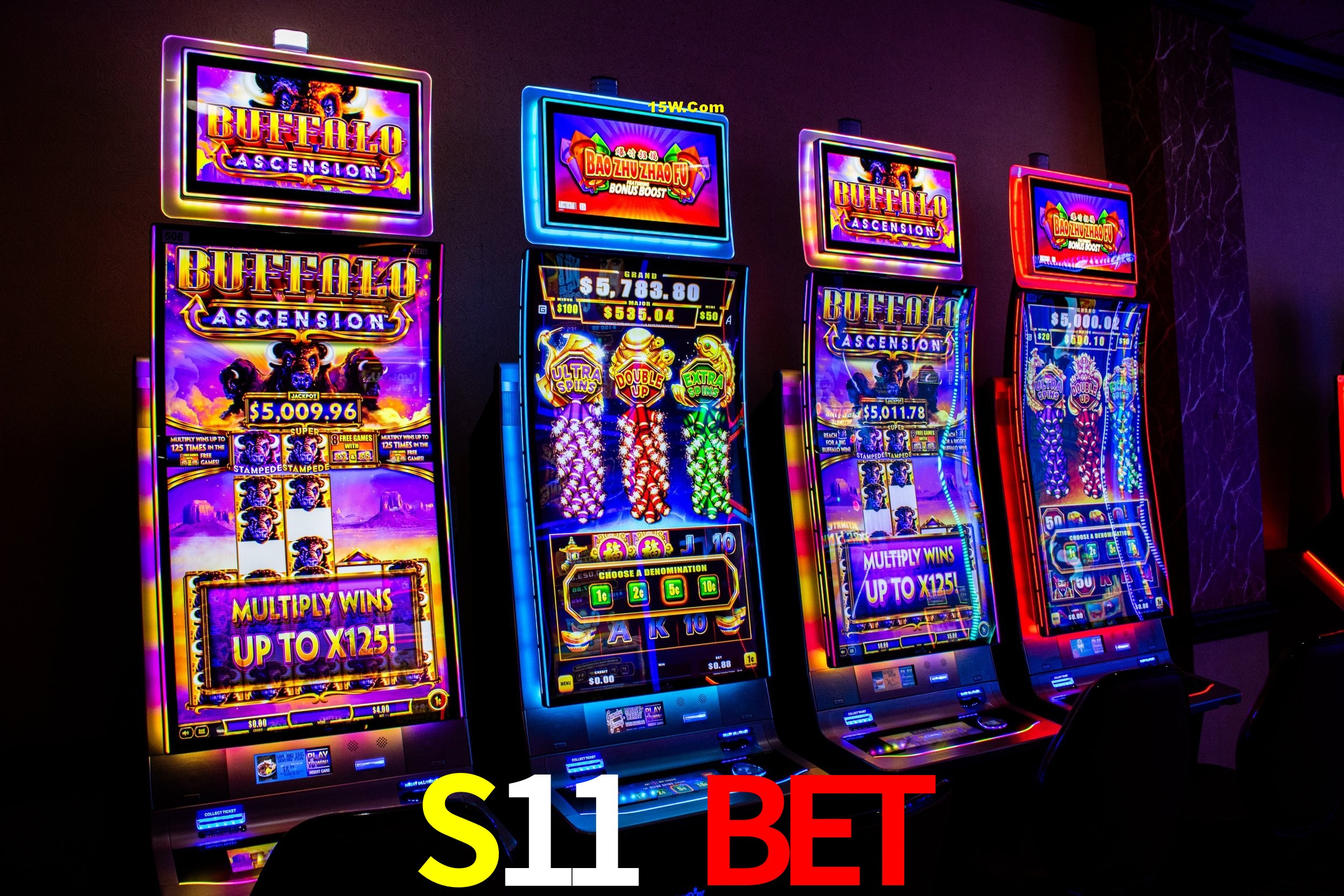 Live Casino S11 Bet